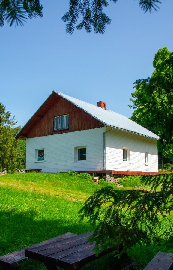 Domek W Gorach Na Wylacznosc Zlatna Extérieur photo